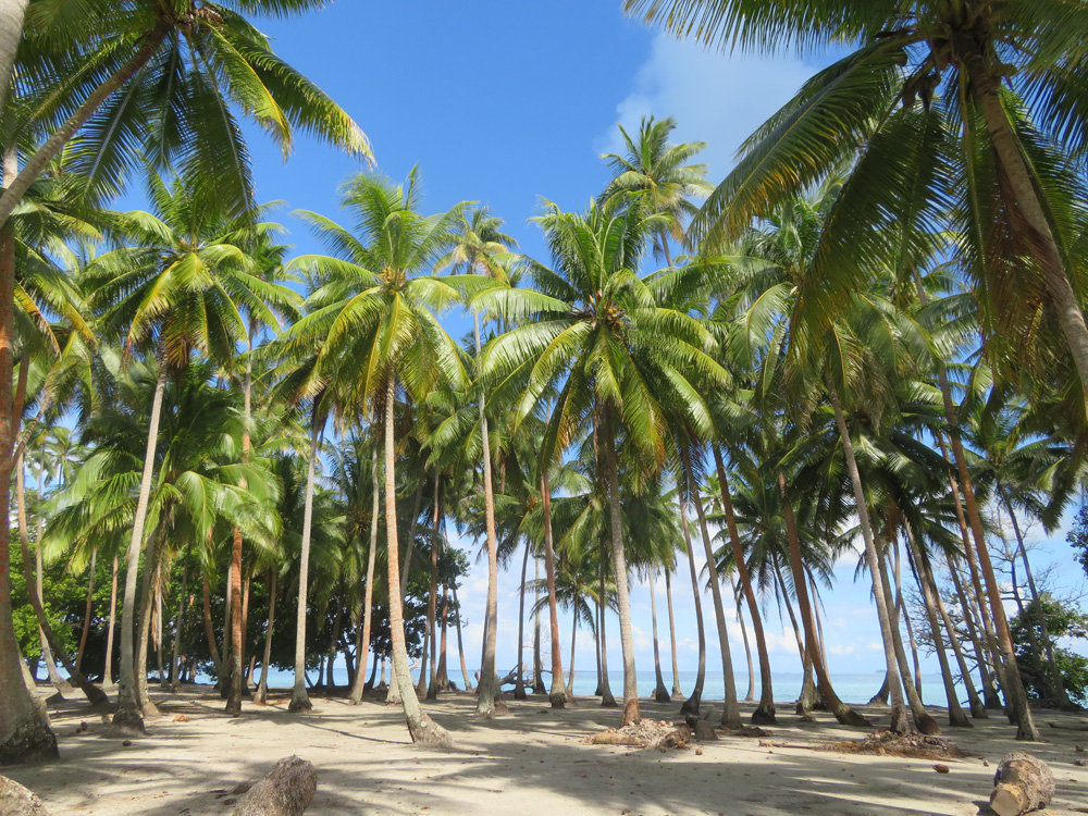 Raiatea Island: Traveling along French Polynesia’s Only Navigable River ...