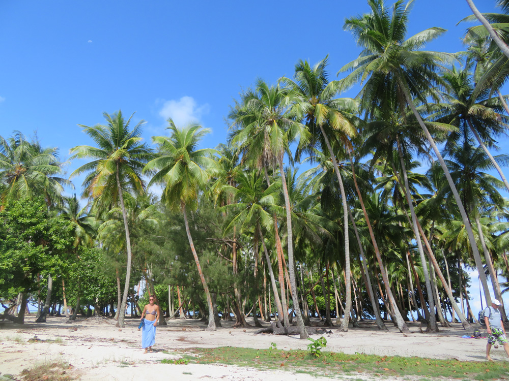 Raiatea Island: Traveling along French Polynesia’s Only Navigable River ...